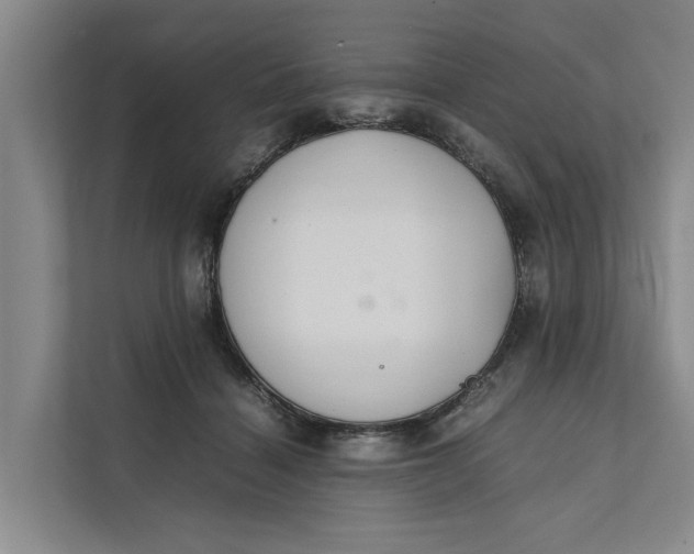 X0000112400460200909041339