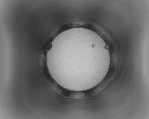 X0000112400463200909041339