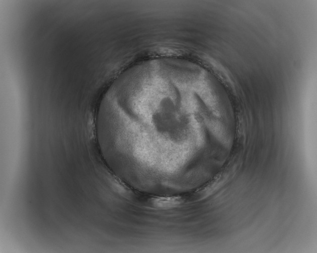 X0000112400465200909041339