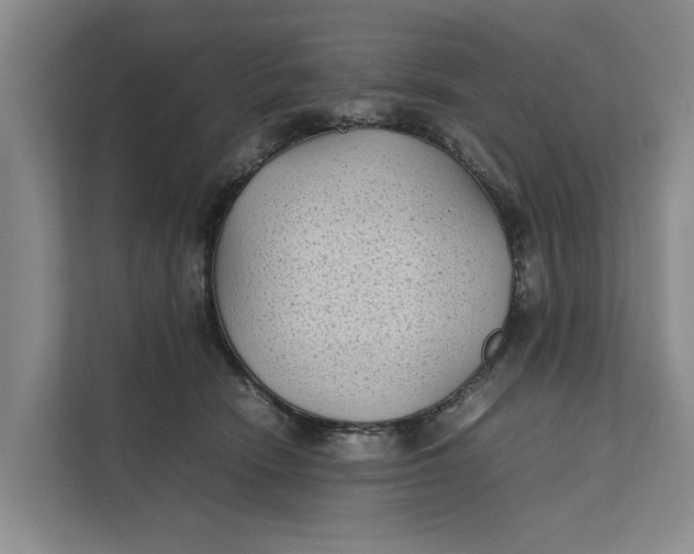 X0000112400466200909041339