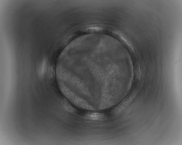 X0000112400467200909041339