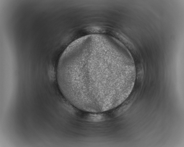 X0000112400469200909041339
