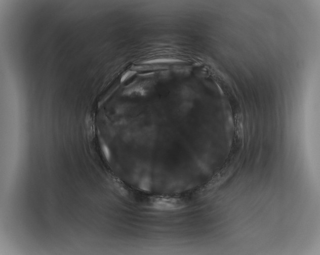 X0000112400471200909041340