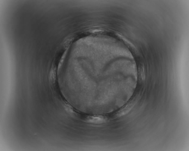 X0000112400475200909041340
