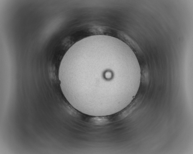 X0000112400477200909041340