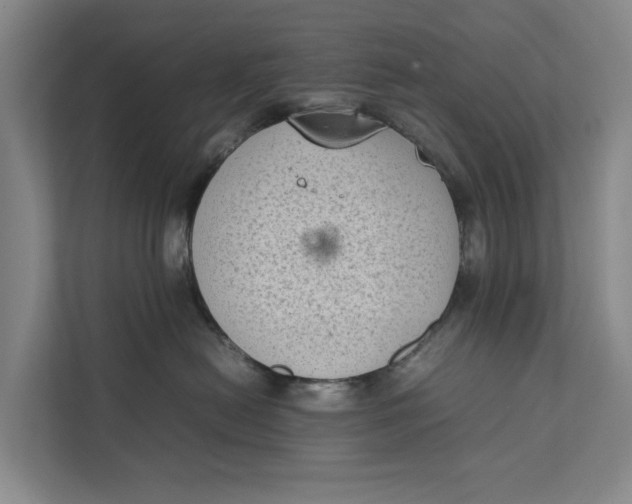 X0000112400478200909041340