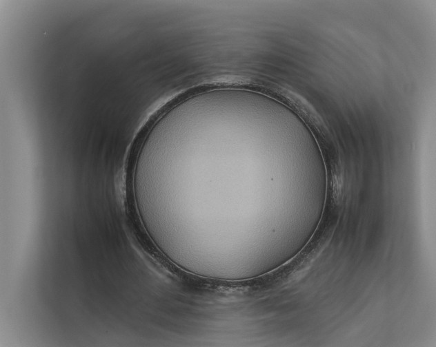 X0000112400484200909041339