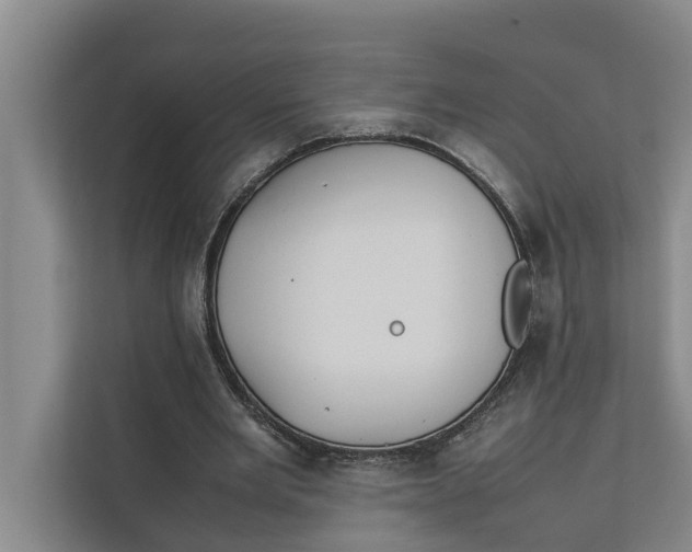 X0000112400485200909041339