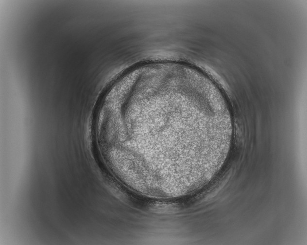 X0000112400487200909041339