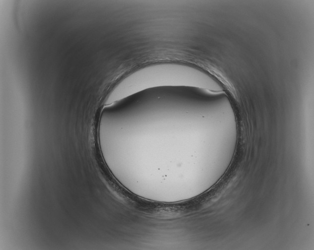 X0000112400489200909041339