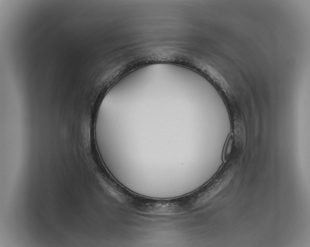 X0000112400493200909041339