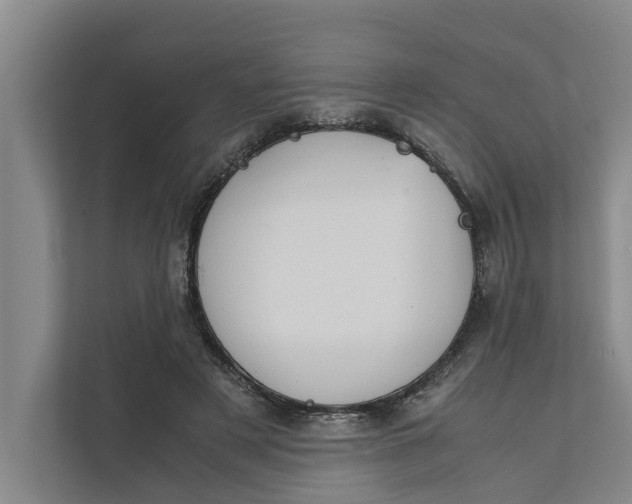 X0000112400497200909041339