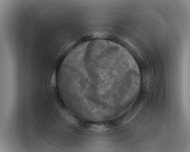 X0000112400502200909041339
