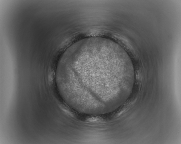 X0000112400503200909041339
