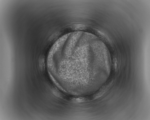 X0000112400506200909041339