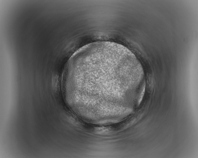 X0000112400511200909041339