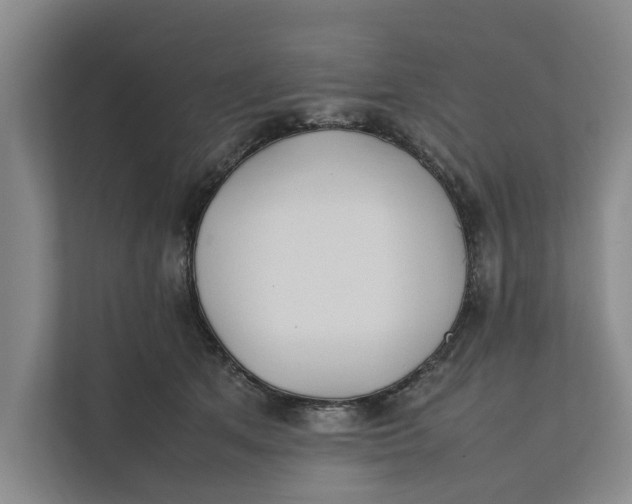 X0000112400513200909041339