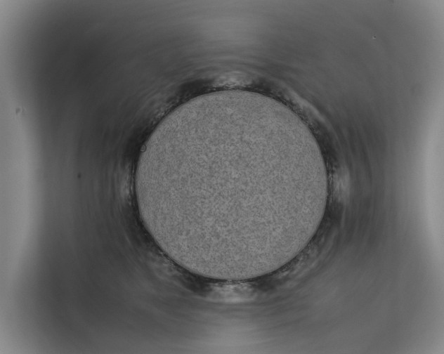 X0000112400517200909041339