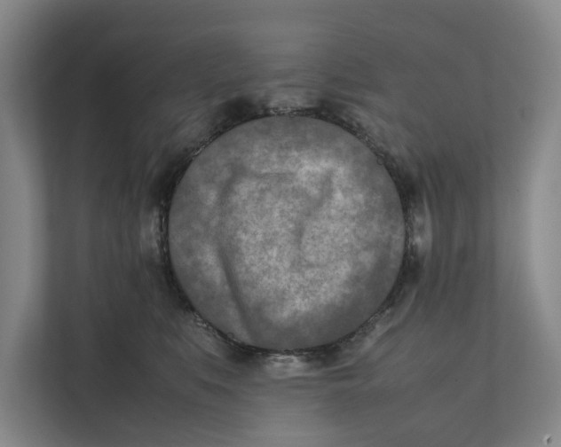 X0000112400519200909041339
