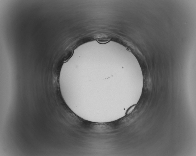 X0000112400521200909041338