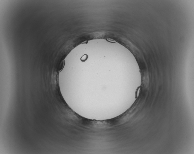 X0000112400525200909041338