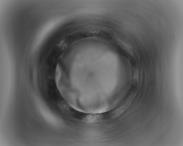 X0000112400526200909041338