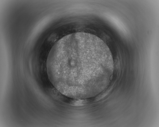 X0000112400527200909041338
