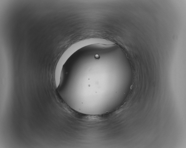 X0000112400528200909041338