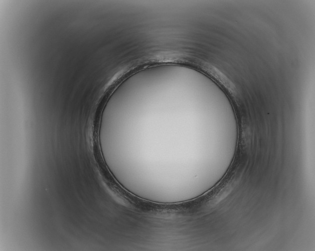 X0000112400530200909041338