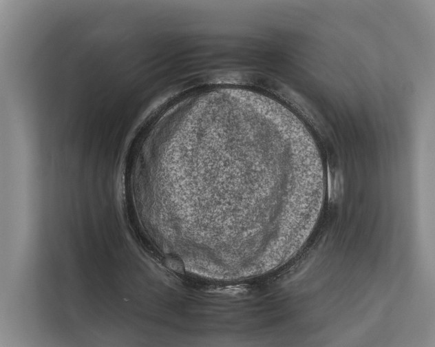 X0000112400531200909041338
