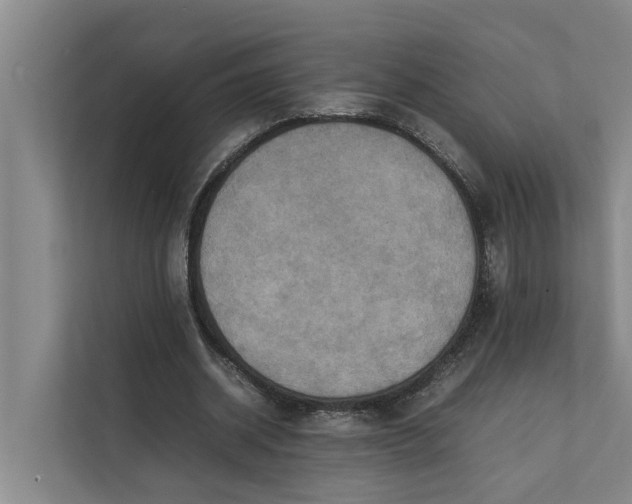 X0000112400534200909041338