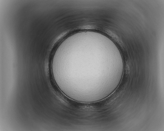 X0000112400535200909041338