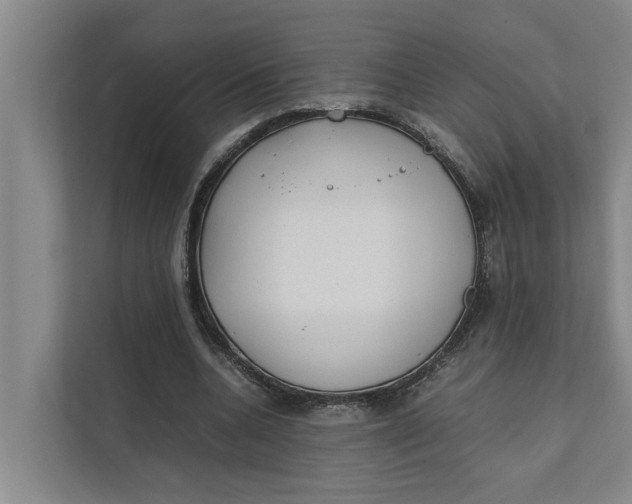 X0000112400536200909041338