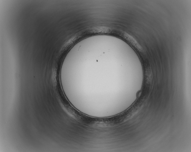 X0000112400538200909041338