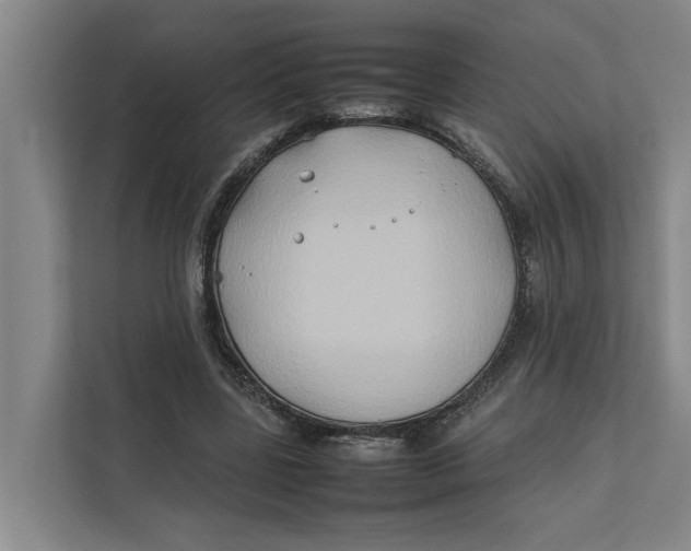 X0000112400539200909041338