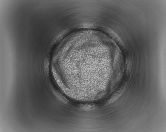 X0000112400542200909041338