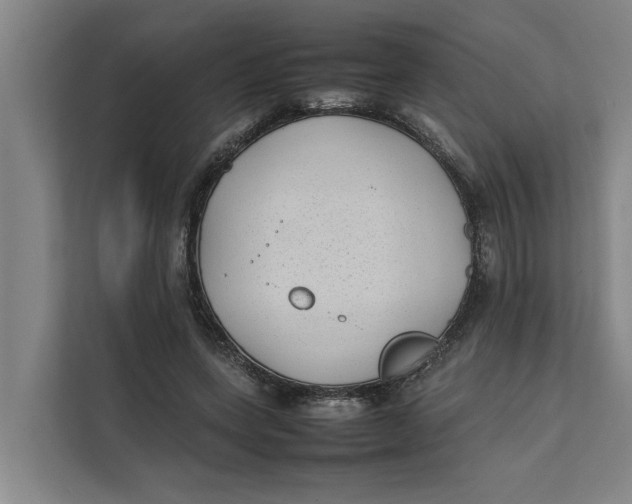 X0000112400543200909041338