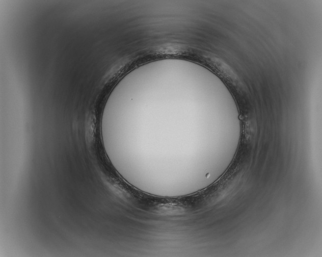 X0000112400544200909041338