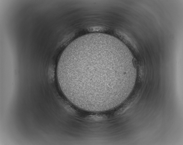 X0000112400545200909041338