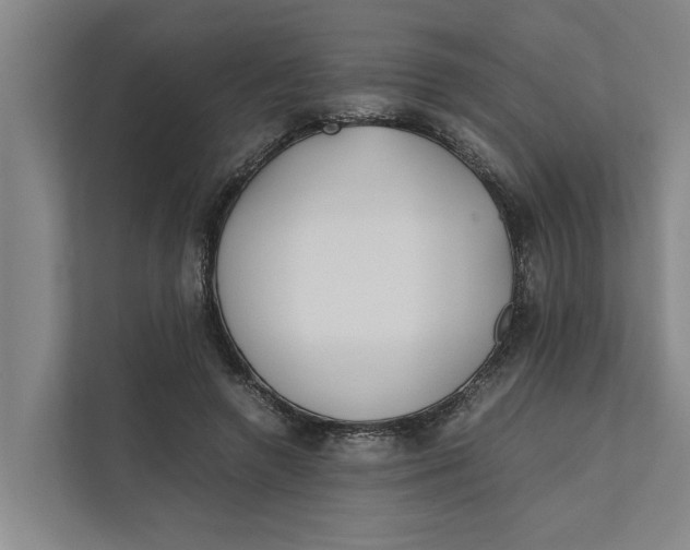 X0000112400546200909041338
