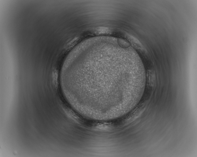 X0000112400550200909041338