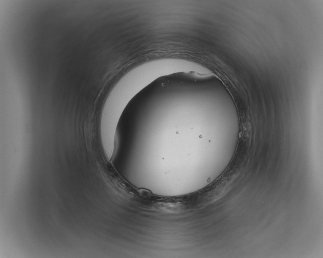 X0000112400552200909041338