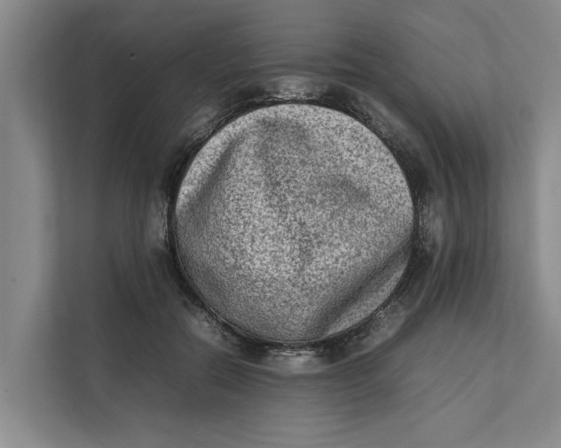 X0000112400554200909041338