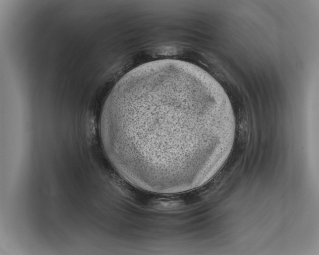 X0000112400555200909041338