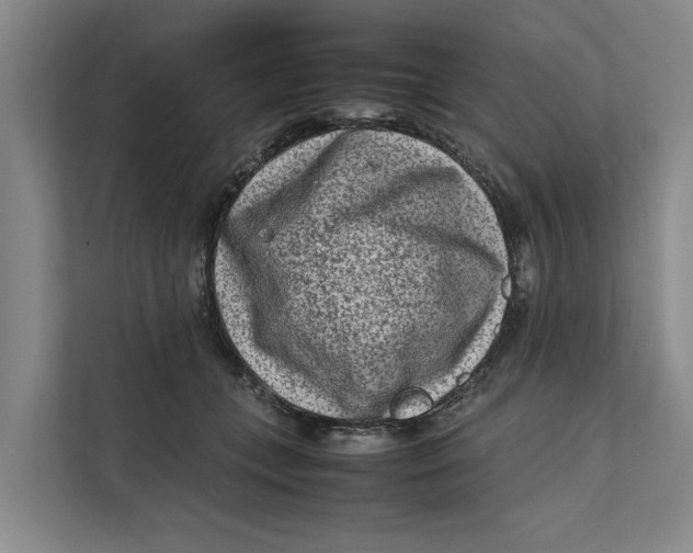 X0000112400559200909041338