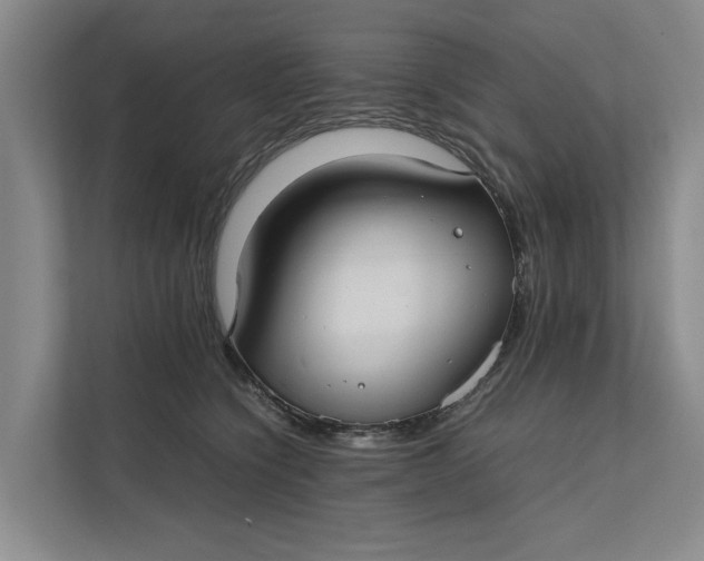 X0000112400564200909041338