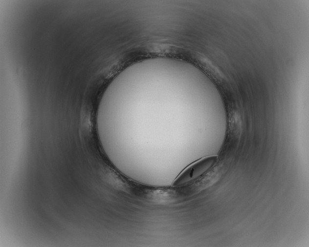 X0000112400566200909041338