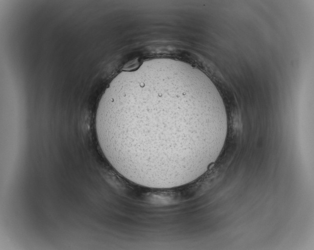 X0000112400567200909041338