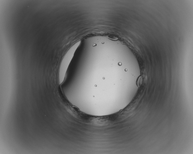 X0000112400568200909041338