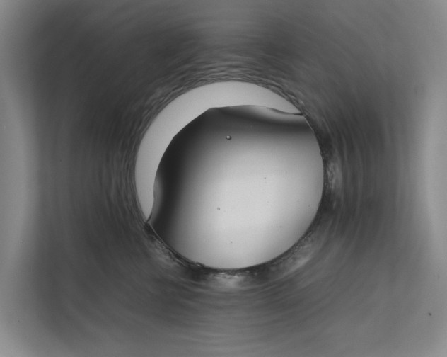 X0000112400570200909041338